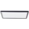 Brilliant Sorell Plafondpaneel LED Zwart, 1-licht, Afstandsbediening