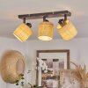 Chenevrey Plafondlamp Zwart, 3-lichts