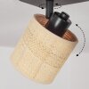 Chenevrey Plafondlamp Zwart, 3-lichts