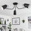 Sacriquier Plafondlamp Zwart, 3-lichts