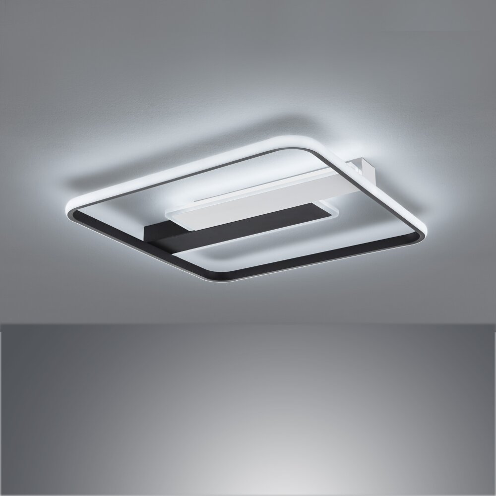 Fischer & Honsel Blithe Plafondlamp LED Zwart, Wit, 1-licht main product photo