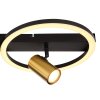 Globo MARRIE Plafondlamp LED Messing, Zwart, 1-licht