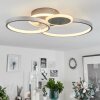 Tagsdorff Plafondlamp LED Chroom, Nikkel mat, 1-licht
