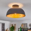 Wambez Plafondlamp Zwart, 1-licht