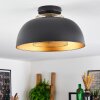 Wambez Plafondlamp Zwart, 1-licht
