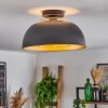 Wambez Plafondlamp Zwart, 1-licht