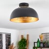 Wambez Plafondlamp Zwart, 1-licht