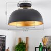 Wambez Plafondlamp Zwart, 1-licht