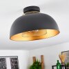 Wambez Plafondlamp Zwart, 1-licht