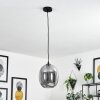 Augicourt Hanger Zwart, 1-licht