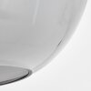 Augicourt Hanger Zwart, 1-licht