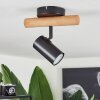 Arbrentin Plafondlamp Natuurlijke kleuren, Zwart, 1-licht