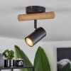 Arbrentin Plafondlamp Natuurlijke kleuren, Zwart, 1-licht