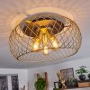 Pinsaguel Plafondlamp Messing, Zwart, 3-lichts