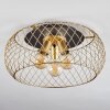 Pinsaguel Plafondlamp Messing, Zwart, 3-lichts