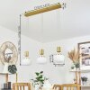 Izenave Hanglamp LED Messing, 3-lichts