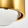 Sapri Muurlamp Goud, 1-licht Sapri Muurlamp Goud, 1-licht