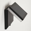 Lonquimai Solarlamp LED Zwart, 1-licht, Bewegingsmelder