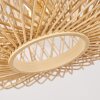 Acapulco Hanger Wit, 1-licht