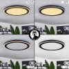 Audrieu Plafondpaneel LED Zwart, Wit, 2-lichts