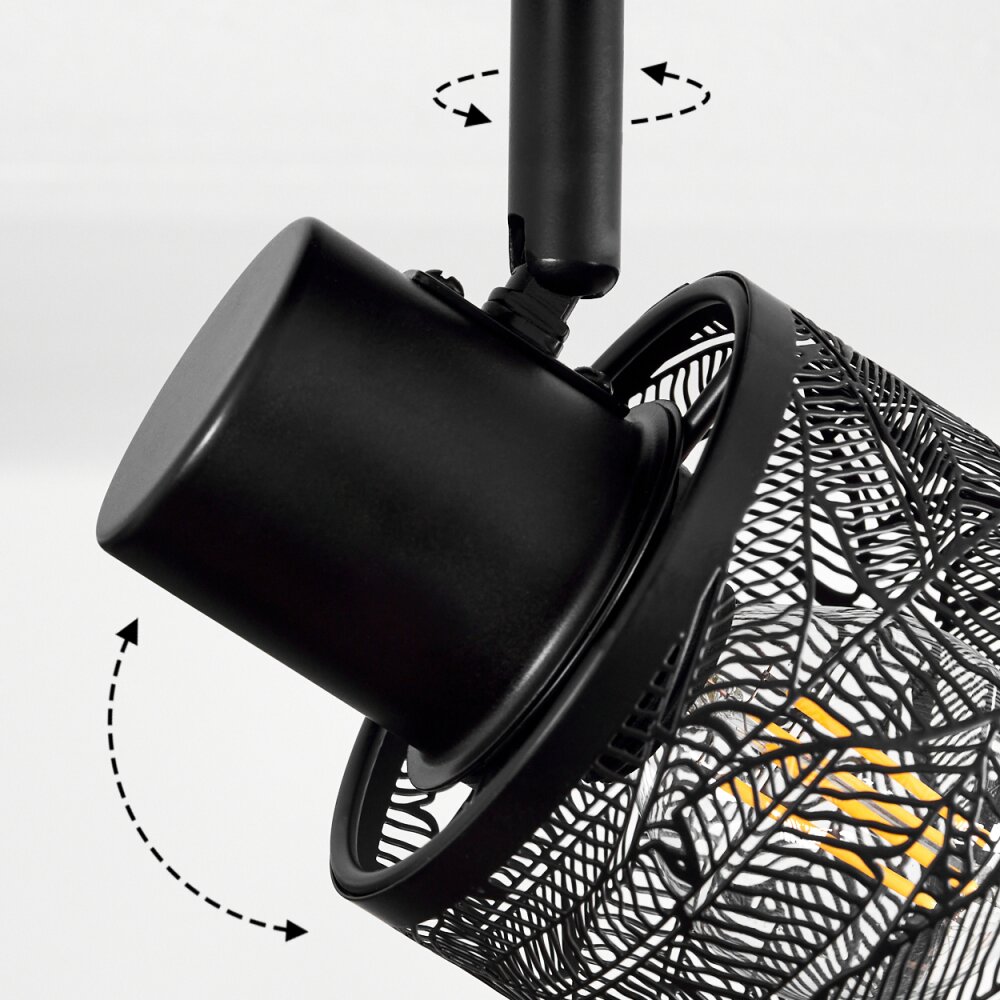 Roto Plafondlamp Zwart, 2-lichts