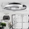 Golega Plafondlamp LED Aluminium, Zwart, 1-licht