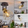 Bitterroot Plafondlamp Zwart, 1-licht