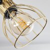 Bitterroot Plafondlamp Zwart, 1-licht