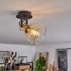 Bitterroot Plafondlamp Zwart, 1-licht