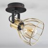 Bitterroot Plafondlamp Zwart, 1-licht