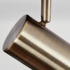 Javel Plafondlamp Oud messing, Zwart, 5-lichts