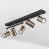 Javel Plafondlamp Oud messing, Zwart, 5-lichts