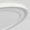 Audrieu Plafondpaneel LED Wit, 2-lichts