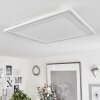 Audrieu Plafondpaneel LED Wit, 2-lichts