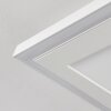 Audrieu Plafondpaneel LED Wit, 2-lichts