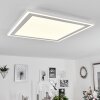 Audrieu Plafondpaneel LED Wit, 2-lichts
