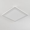 Audrieu Plafondpaneel LED Wit, 2-lichts
