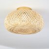 Bauro Plafondlamp Natuurlijke kleuren, 1-licht