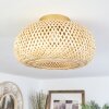 Bauro Plafondlamp Natuurlijke kleuren, 1-licht