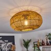 Mulstrand Plafondlamp Natuurlijke kleuren, 1-licht