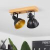 Tina Plafondlamp Bruin, Zwart, 2-lichts