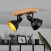 Tina Plafondlamp Bruin, Zwart, 2-lichts