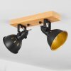 Tina Plafondlamp Bruin, Zwart, 2-lichts