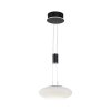 Paul Neuhaus Q-ETIENNE Hanglamp LED Zwart, 1-licht, Afstandsbediening