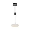 Paul Neuhaus Q-ETIENNE Hanglamp LED Zwart, 1-licht, Afstandsbediening
