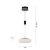 Paul Neuhaus Q-ETIENNE Hanglamp LED Zwart, 1-licht, Afstandsbediening