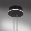 Paul Neuhaus Q-ETIENNE Hanglamp LED Zwart, 1-licht, Afstandsbediening