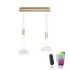 Paul Neuhaus Q-ETIENNE Hanglamp LED Messing, 2-lichts, Afstandsbediening