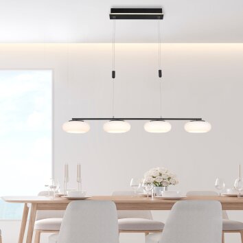 Paul Neuhaus Q-ETIENNE Hanglamp LED Zwart, 4-lichts, Afstandsbediening
