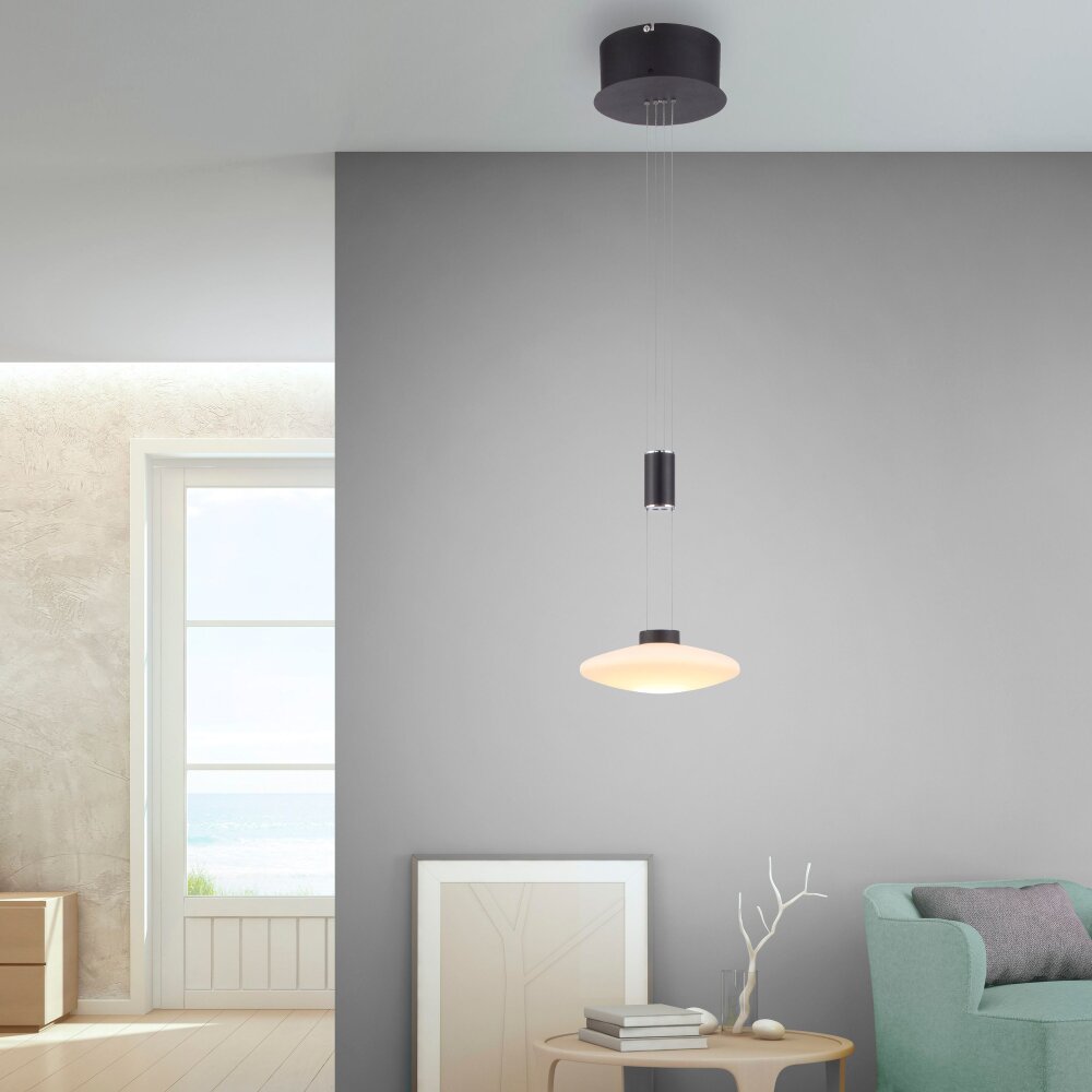 Paul Neuhaus LAUTADA Hanglamp LED Zwart, 1-licht main product photo